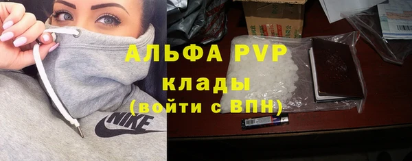 хмурый Аркадак