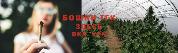 хмурый Аркадак