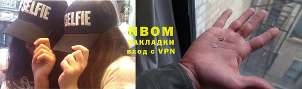 хмурый Аркадак