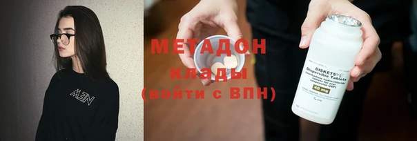 хмурый Аркадак