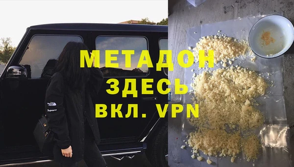 хмурый Аркадак