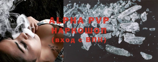 хмурый Аркадак