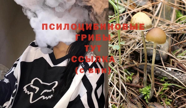 a pvp Алексин