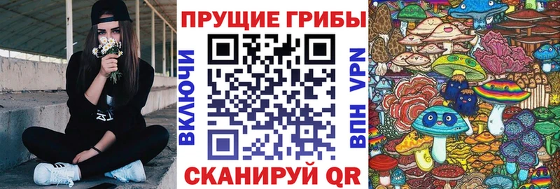 магазин    Бахчисарай  Галлюциногенные грибы Psilocybe 